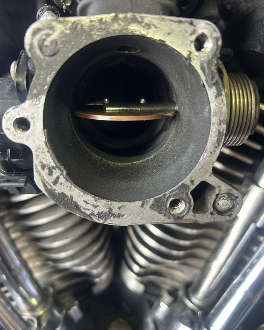 No photo description available.